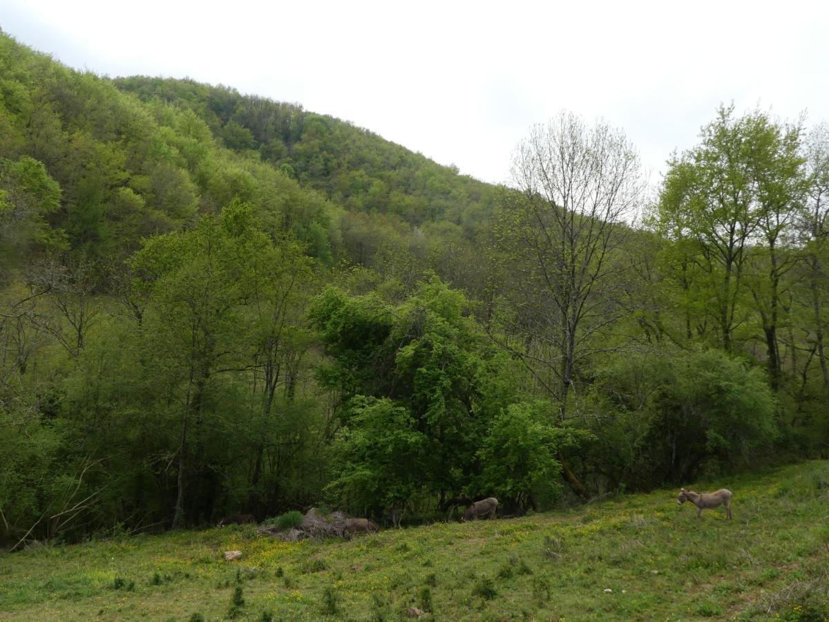 Source Nature Mas-d'Azil Exterior foto