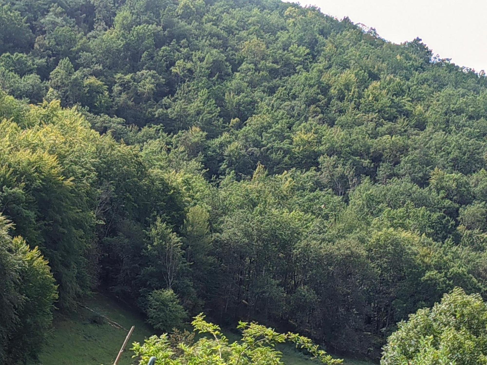 Source Nature Mas-d'Azil Exterior foto